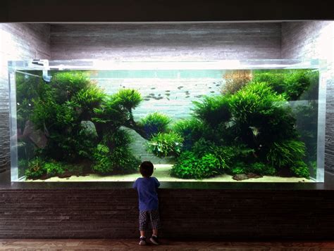 ada aquascape